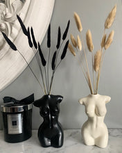 Load image into Gallery viewer, Dried Bunny Tail Pampas Bunch 10pc