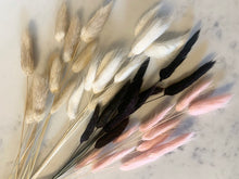 Load image into Gallery viewer, Dried Bunny Tail Pampas Bunch 10pc